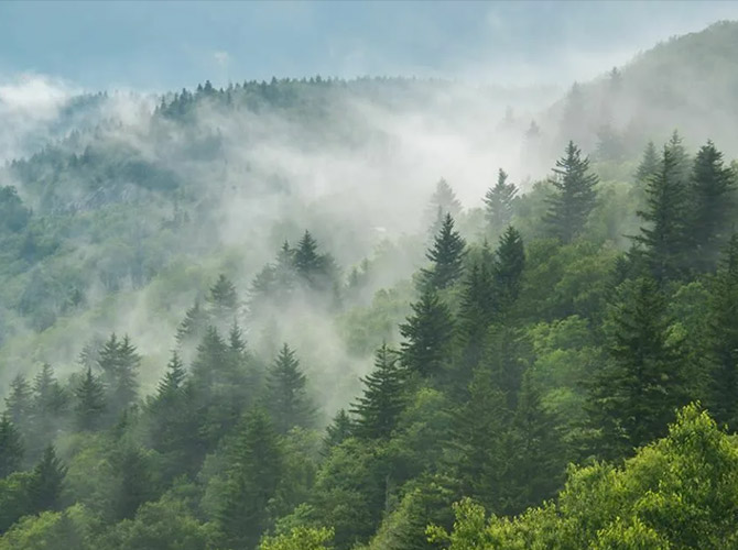 Jiangsu Haisong New Material Technology Co., Ltd.